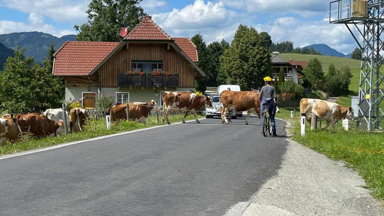 Biohof Koeck Tonibauer Zeutschach Exterior foto