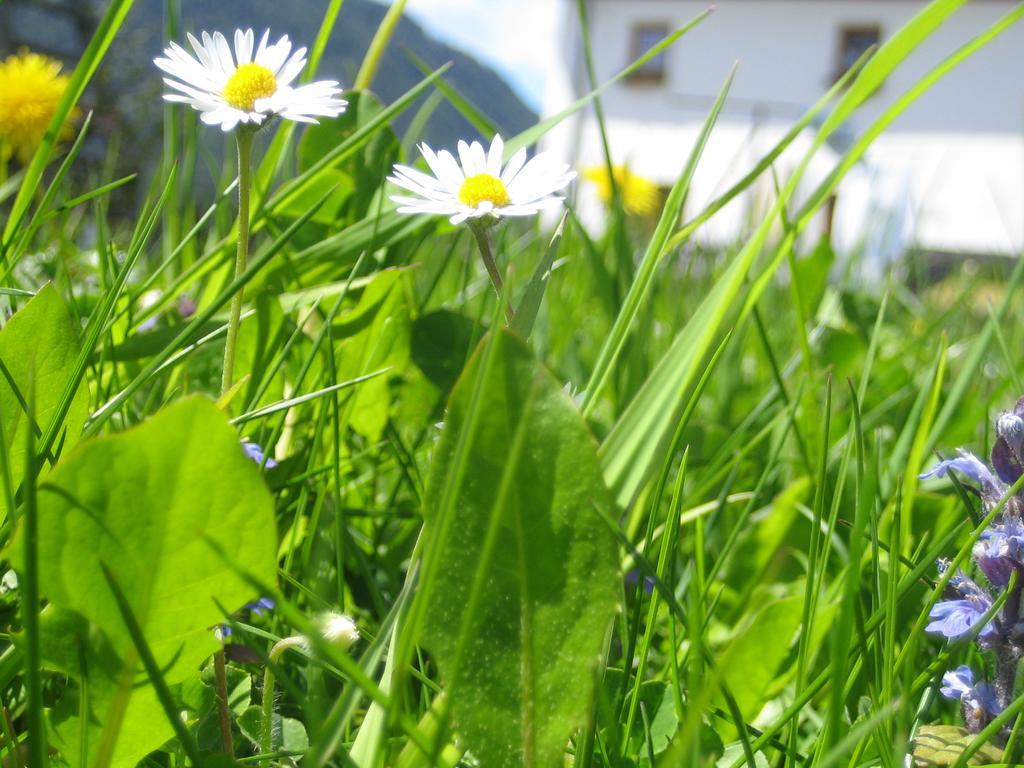 Biohof Koeck Tonibauer Zeutschach Exterior foto